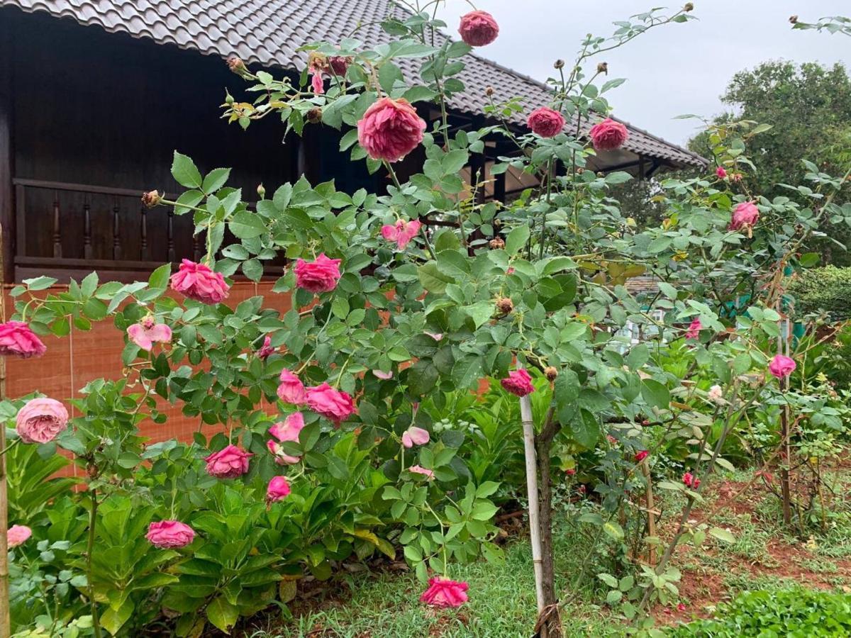 Phuong Nam Gia Trang Farmstay Gia Nghĩa Zewnętrze zdjęcie